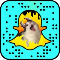 Cat Lady Does Something Amazing with Her Cats Using Snapchat