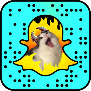 Cat Lady Does Something Amazing with Her Cats Using Snapchat