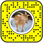 Surprise Goat Snapchat Lens