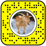 Surprise Goat Snapchat Lens