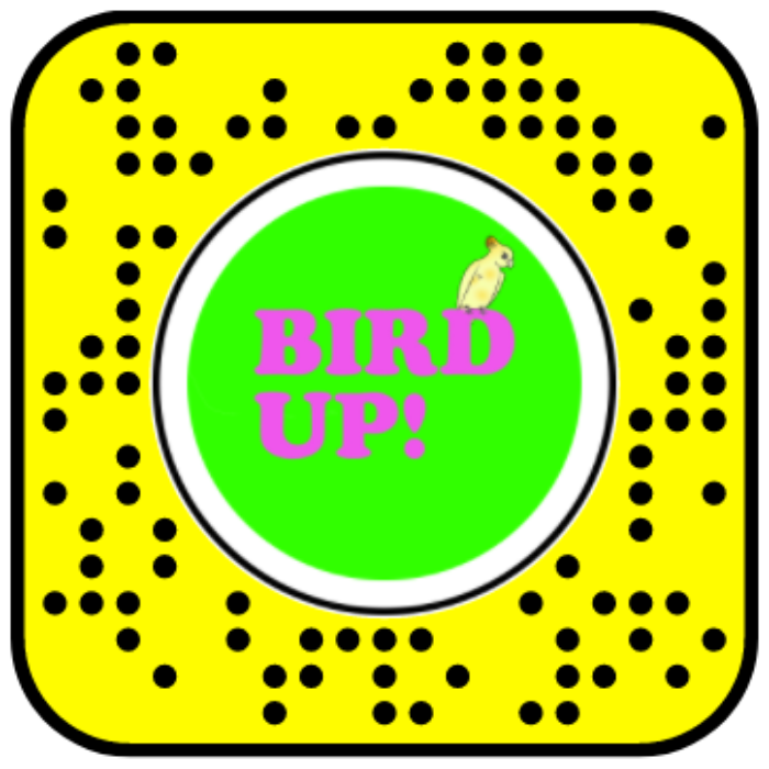 Bird Up Freeze Frame Snapchat Lens