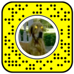 Goosebumps Freeze Frame Snapchat Lens
