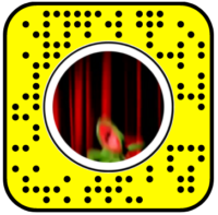 Kermit Seizure Snapchat Lens
