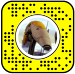 Roger Roger Star Wars Snapchat Lens